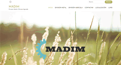 Desktop Screenshot of madim.es